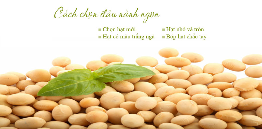 [Troubleshooting] Common questions when making soy milk Picture 2